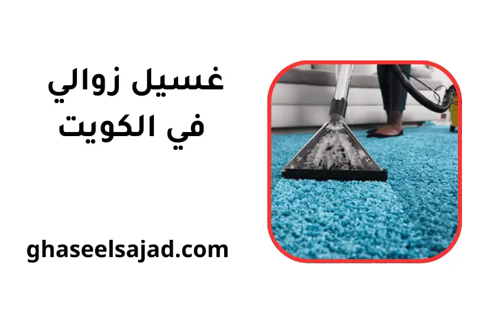 شركة غسيل زوالي