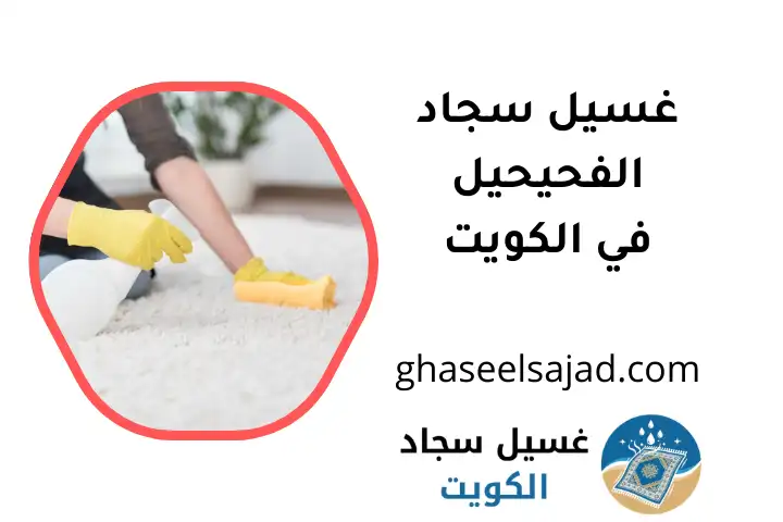 غسيل سجاد الفحيحيل